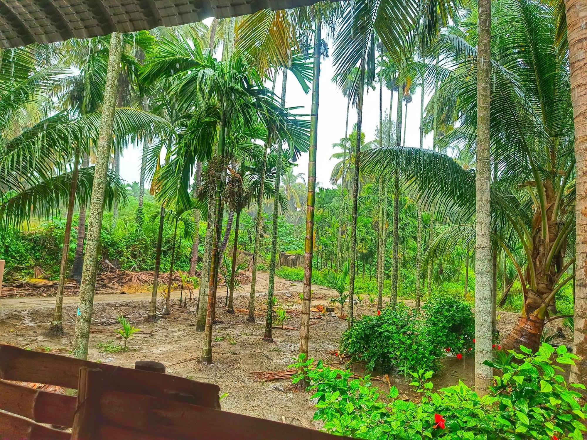Shivalaya Farmstay Located Amdist Coconut Farm With River Access Near Isha,Adiyogi,Siruvani Alandurai Екстер'єр фото