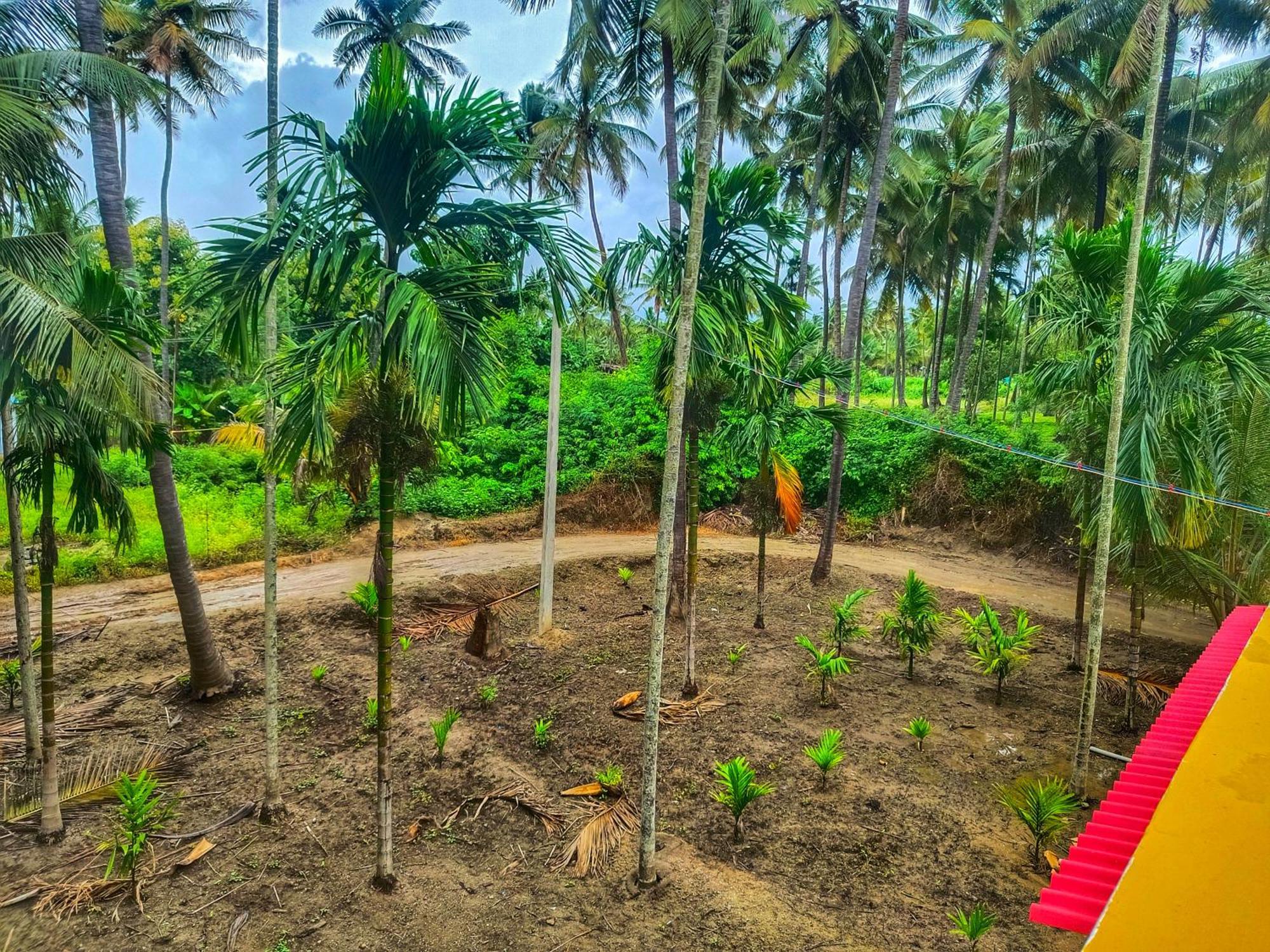 Shivalaya Farmstay Located Amdist Coconut Farm With River Access Near Isha,Adiyogi,Siruvani Alandurai Екстер'єр фото