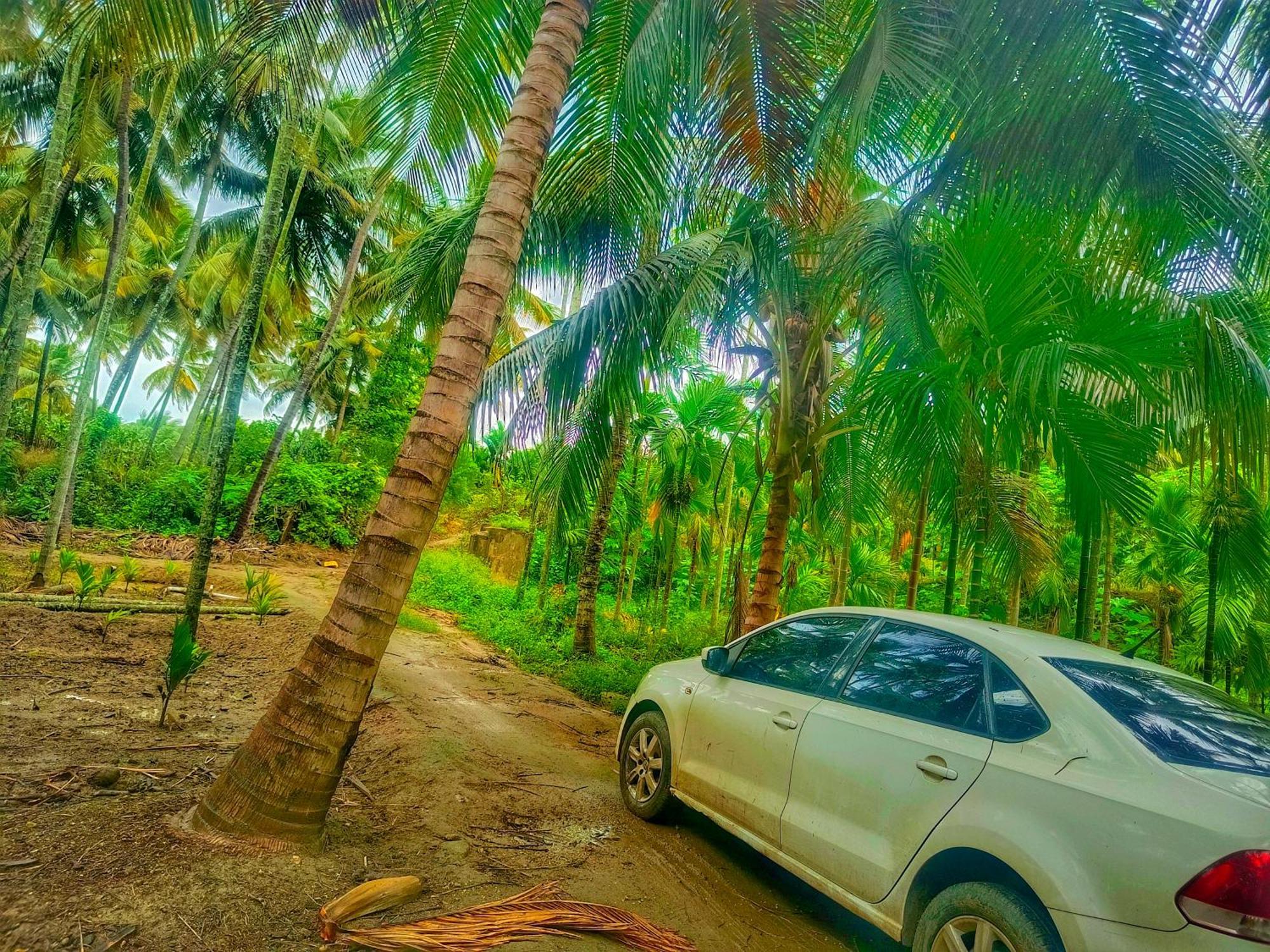 Shivalaya Farmstay Located Amdist Coconut Farm With River Access Near Isha,Adiyogi,Siruvani Alandurai Екстер'єр фото